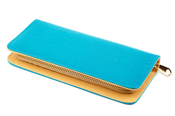 Female leather purse isolated on white background