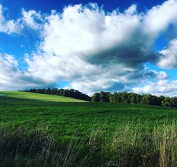 Obraz premium Green Field Blue Sky