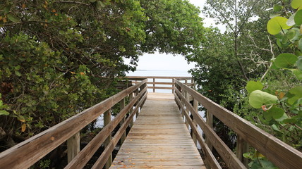 Obraz premium Bridge to Nowhere