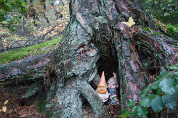 Little friends of the woods