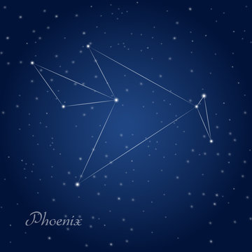 Phoenix constellation at starry night sky