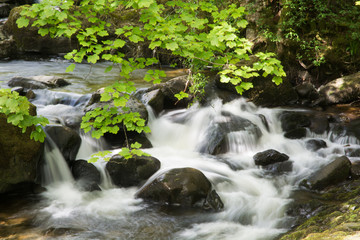 A stream runs through the English countryside