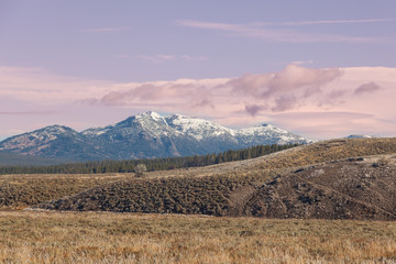 Hayden Valley Landscape Yellowstone N.P.