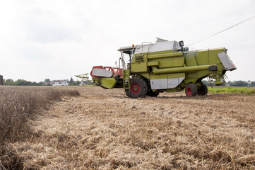 Obraz premium Combine harvesting crops