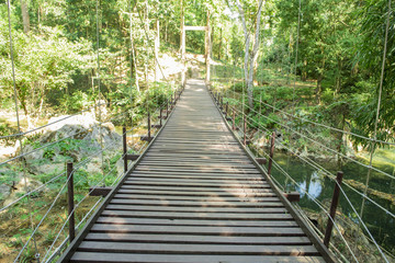 Obraz premium Wooden bridge in forest