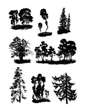 Various vector trees
