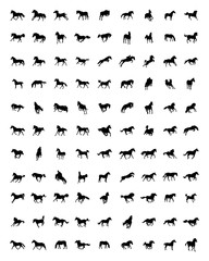 Fototapeta na wymiar Black silhouettes of horses on the white background, vector