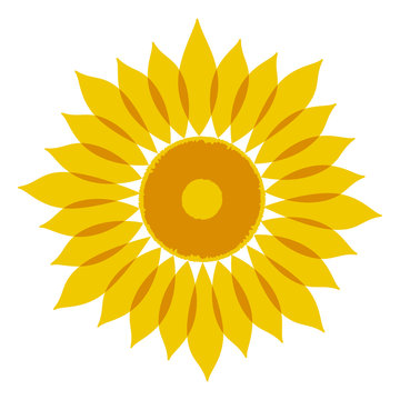 Yellow sunflower as a symbol
