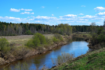 Fototapeta na wymiar Spring landscape. The river and the forest with fresh green leaves and grass.