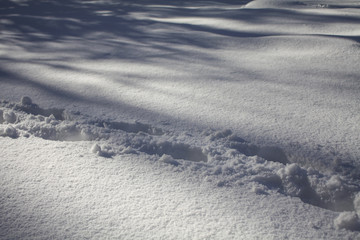 Footprints and Shadows on Snow Background