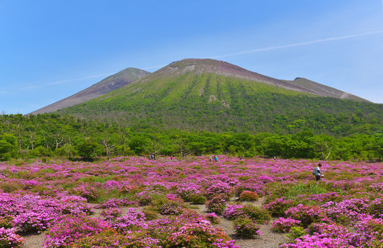 320 件の最適な 霧島山 画像、ストック写真、ベクター  Adobe Stock