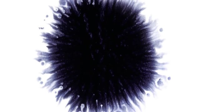 Beautiful watercolor ink drops on white paper, paint bleed Bloom, with black circle organic flow expanding, splatter spreading on clear background. Perfect for motion graphics, digital composition