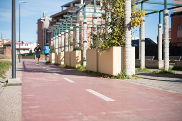 Fototapeta na wymiar Urban bicycle path in city park