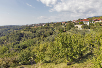 Smartno picturesque village in Western Slovenia.