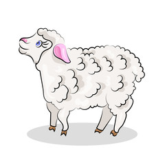 cute cartoon vector sheep lamb at the white background