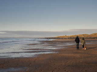 Naklejka premium Couple walking a dog on a beach.