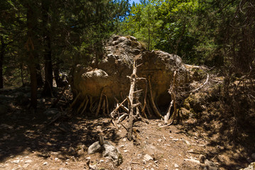 Samaria Gorge. Tourist tradition - to set the sham wooden stop under a large stone. Island of Crete, Greece.