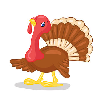 cartoon cute vector turkey at the white background