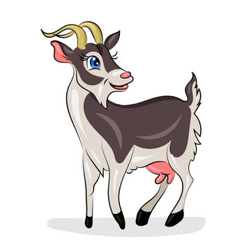 cute cartoon vector goat at the white background