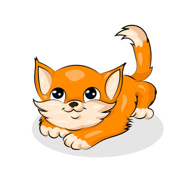 cute cartoon vector colorful cat at the white background
