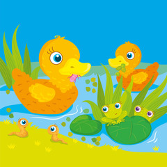 Obraz na płótnie Canvas Ducks And Frogs On Pond