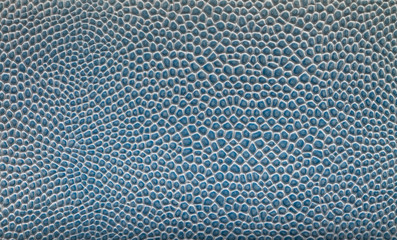 Blue reptile leather texture