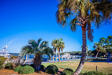 bohiket marina with boats near kiawah island