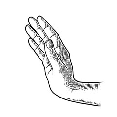 Female hand showing stop gestur. Vector black vintage engraving