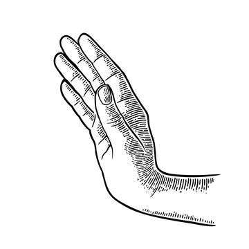 Female hand showing stop gestur. Vector black vintage engraving