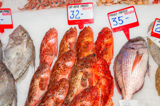 Fresh seafood variety for sale at fish market, Palma, Mallorca