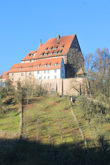 mittelalterliche Burg