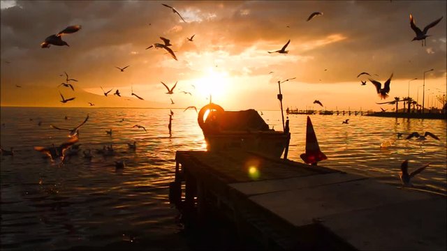 Seagulls flying and swimming on the sea at sunset in Izmir - Turkey. There is a fishing boat near the wharf.