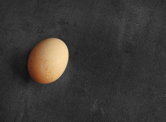 Raw egg on color background