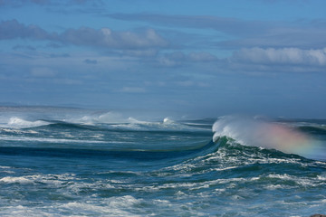 West Coast National Park, South Africa