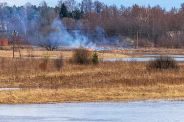 Burning dry grass on the river bank. Spring.