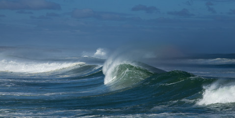West Coast National Park, South Africa