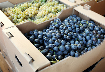 Cardboard box with juicy grapes on market, closeup