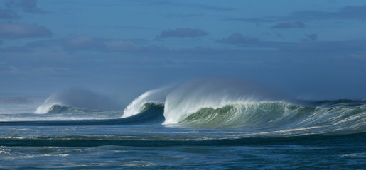 West Coast National Park, South Africa