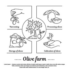 Vector graphic set of icons in flat, contour, thin and linear design. Olive grove, technology of cultivation and storage of olives.Concept infographic for Web site, app. Sign, symbol, emblem.