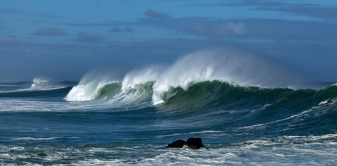 West Coast National Park, South Africa