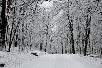 Mount Davis PA