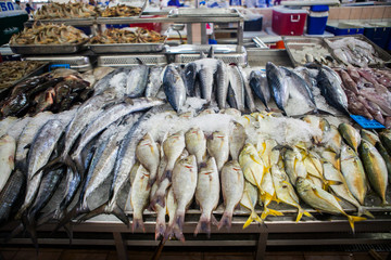 fish market abu dhabi, fish, market, fhish in ice, Shrims, seafo - Powered by Adobe