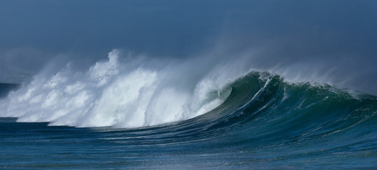 West Coast National Park, South Africa