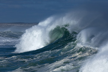 West Coast National Park, South Africa