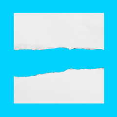 Piece of torn paper, space for copy