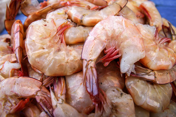 Prawns for sale