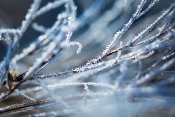 Abstract macro of white hoarfrost on plants