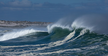 West Coast National Park, South Africa