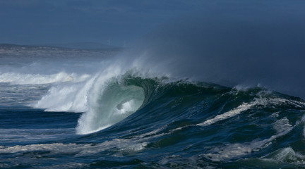 West Coast National Park, South Africa