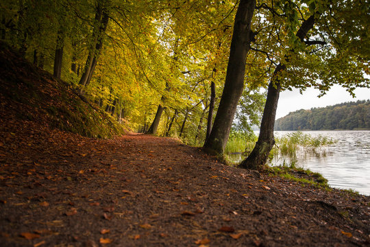 Autumn in german Mountains and Forests - Liepnitzsee - Wandlitz / Berlin and Brandenburg